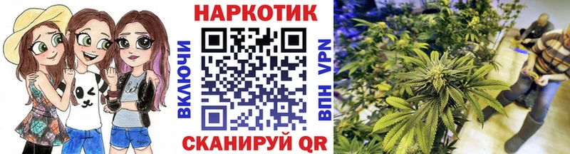 Магазин наркотиков Камышлов Кокаин  блэк спрут зеркало  Меф  Галлюциногенные грибы  ГАШ  МАРИХУАНА 