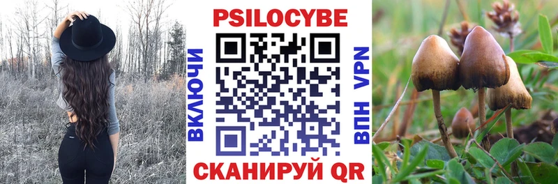 Галлюциногенные грибы прущие грибы  blacksprut вход  Камышлов 